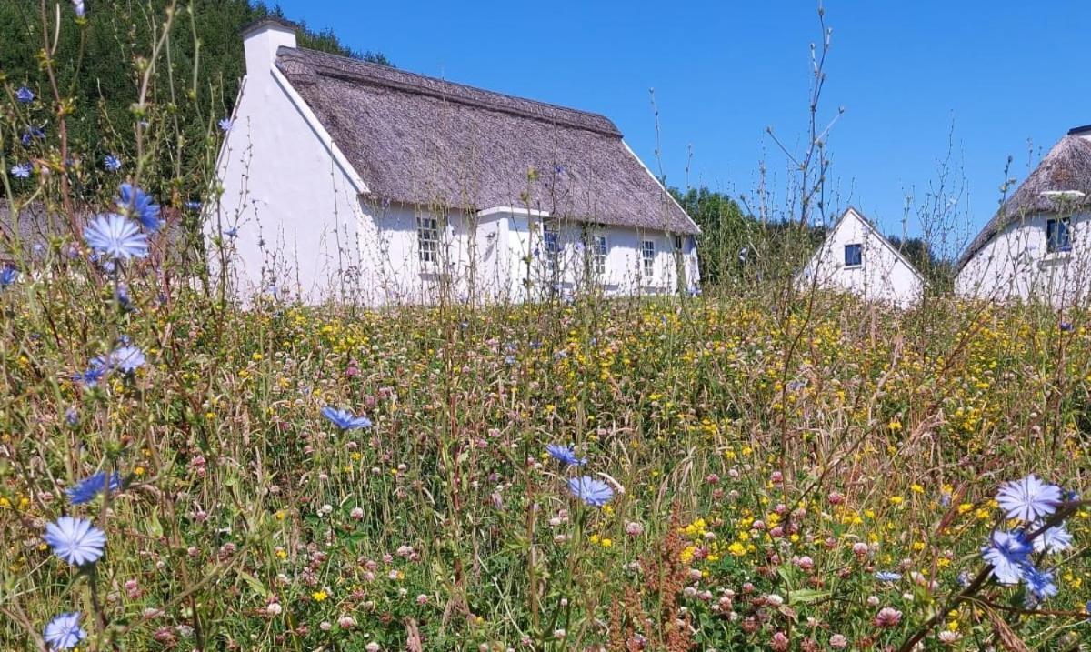 Corofin Lake Cottages Exterior photo